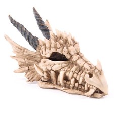 Spardose Drachenschädel Drachentotenkopf Drache Fantasy Skull Drachen Totenkopf