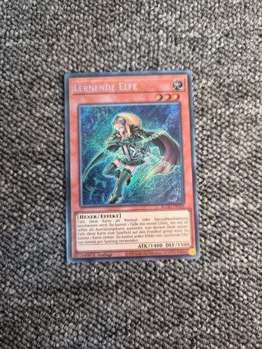 Lernende elfe blgg de026 - lernende,
