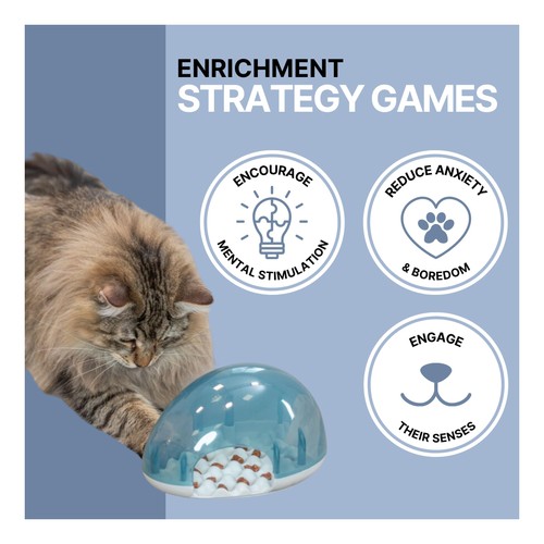 Katzen intelligenzspielzeug - katzen,