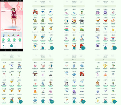 Pokémon acc lvl41 - pokémon, 49