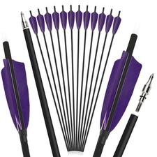 28" 30" 31 Zoll Carbonpfeile