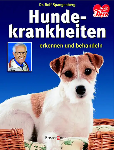 Hundekrankheiten erkennen und