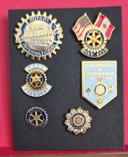 Rotary club diverse pin - club,
