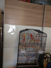 Großer Vogelkäfig Zuverkaufen