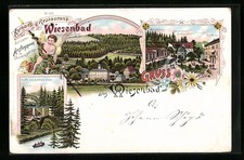 Lithographie Wiesenbad
