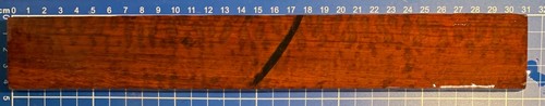Snakewood schlangenholz sehr - schlangenholz,