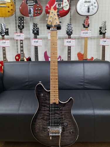 Evh wolfgang special - wolfgang,