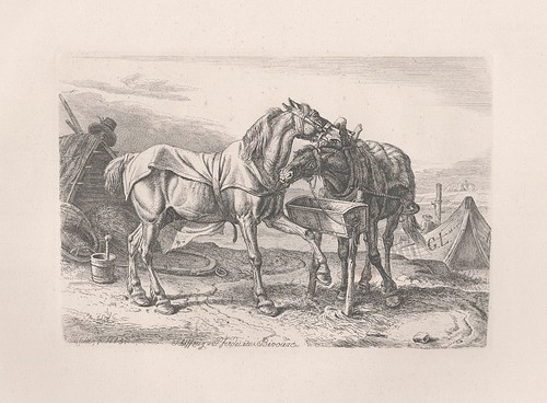 Schiffzug pferde bivouac - im,