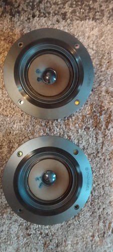 Pioneer-Mitteltöner