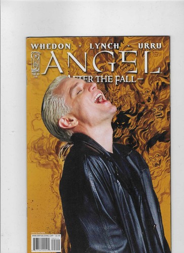 Angel after the - angel, fall