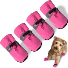 Hundeschuhe Pfotenschutz