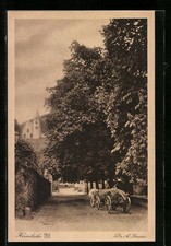 Ansichtskarte Zwingenberg / Hessen, Heimkerh einer Bäuerin mit Rinderwagen 