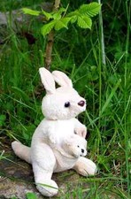 Stehendes Känguru mit Baby