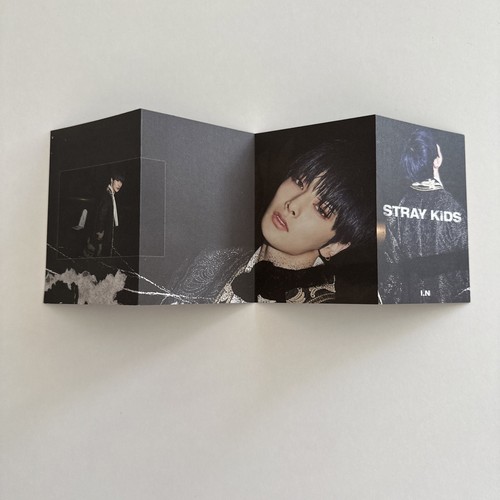 Stray kids straykids jeongin - stray,