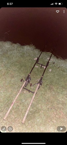 Fox warrior ruten - warrior,