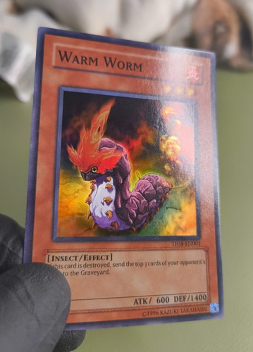 Warmer wurm tf04 - warmer,