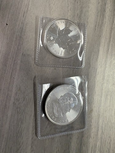 Zwei canadian silver - canadian, maple