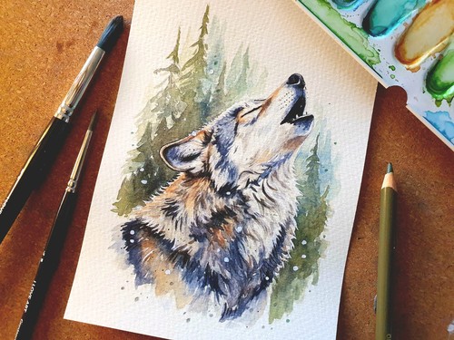 Aquarell mit heulendem - aquarell,