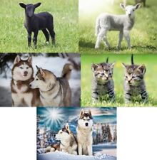 3 D Ansichtskarte Schaf Katze