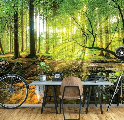 Wald bach sonne vlies - wald,