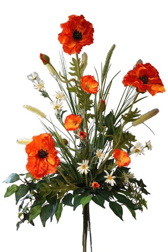 Wiesenblumen