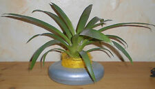 metall übertopf aus wärmflasche alt zink wanne verzinkt top blumen deko pflanzen