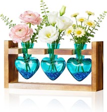 Yeomoo pflanzenvase glas - yeomoo,