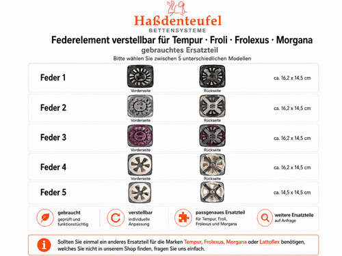Federelement verstellbar für