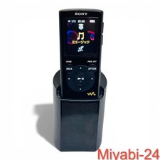Sony Walkman Color LCD Audio