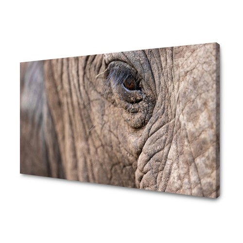 Canvas leinwandbilder bilder - canvas,