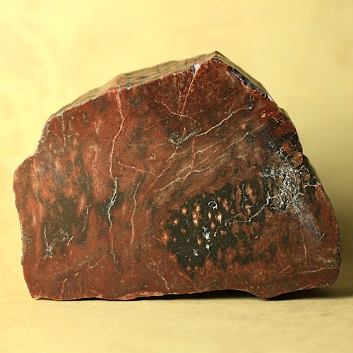Kieselholz agathoxylon - kieselholz,