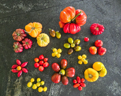 Viele tomaten sorten samen - viele,
