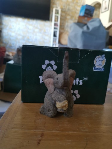 Tuskers hayley mit box - hayley,