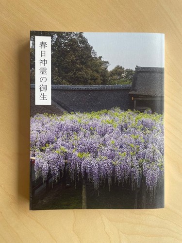 Hiroshi sugimoto die geburt - sugimoto,