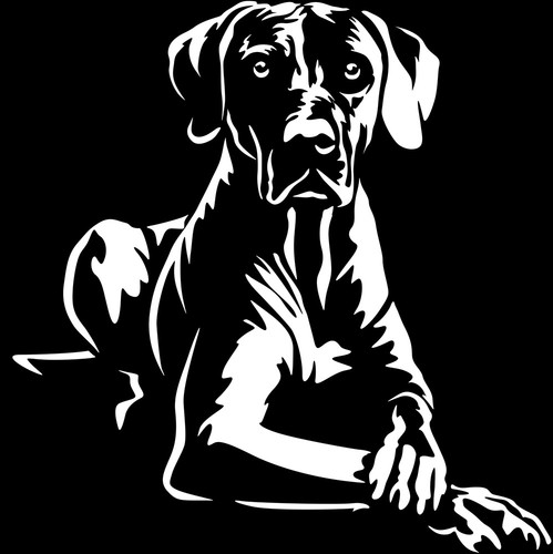 Rhodesian ridgeback aufkleber - rhodesian,