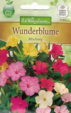 Chrestensen  Wunderblume Mischung    Samen, Sämereien Saatgut Blumensamen  5192