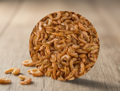 Gammarus premium - gammarus,