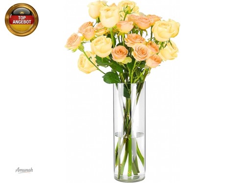 Vase unzerbrechliche - vase,,