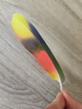 Bunte pastell - bunte,