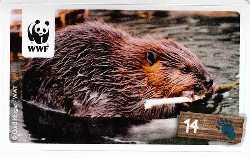 Rewe wwf tier - rewe,