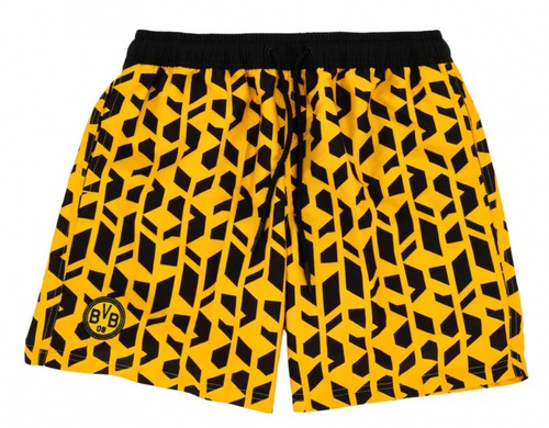 Borussia dortmund festival - dortmund,