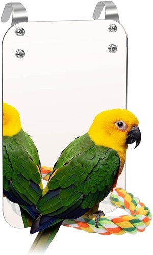 Vogelspiegel mit