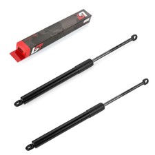 2x Gasdruckfeder Dämpfer