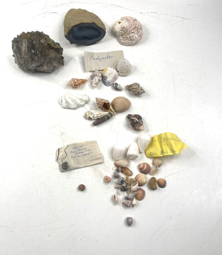 Sammlung verschiedener