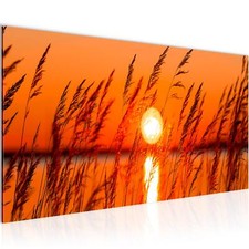 Wandbild Sonnenuntergang