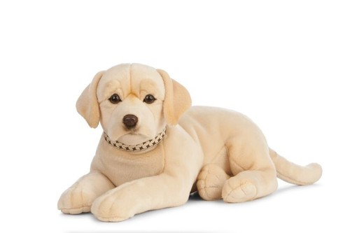 Golden labrador 60cm - labrador,