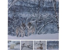 LED Bild Leinwand Tiere