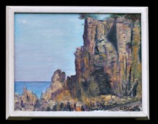 Felsige Küstenlandschaft –