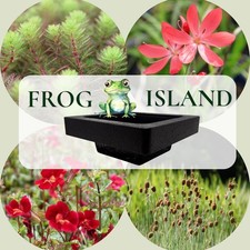 Wasserpflanzen Wolff