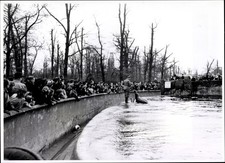 Foto Berlin Tiergarten, Bert